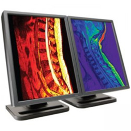 Dual Head 2MP Dome E2cHB Color w/ Quardo 600