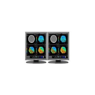 Dual Head 2MP Totoku 21.3'' Color - DH38-CCL254i2
