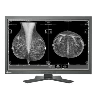 Single Head 10MP EIZO with ATI Video Card - GX1030-CL-AV580D5DE
