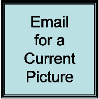 EIZO RadiForce 3MP 20.8'' - R31C-DH-MRAP