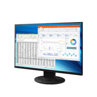 Eizo EV2410R 24.1" Color LCD Monitor