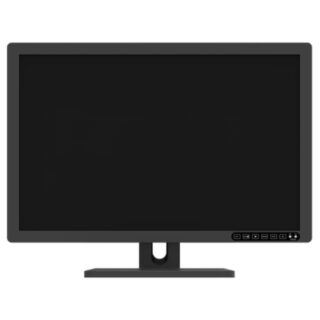 Jusha R241M 2MP Clinical Review Display