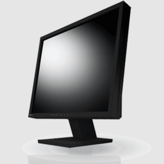 Eizo FlexScan S1934 Monitor