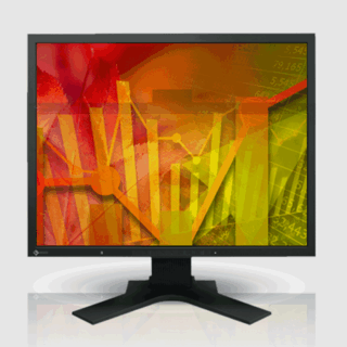 Eizo FlexScan S2133 Monitor