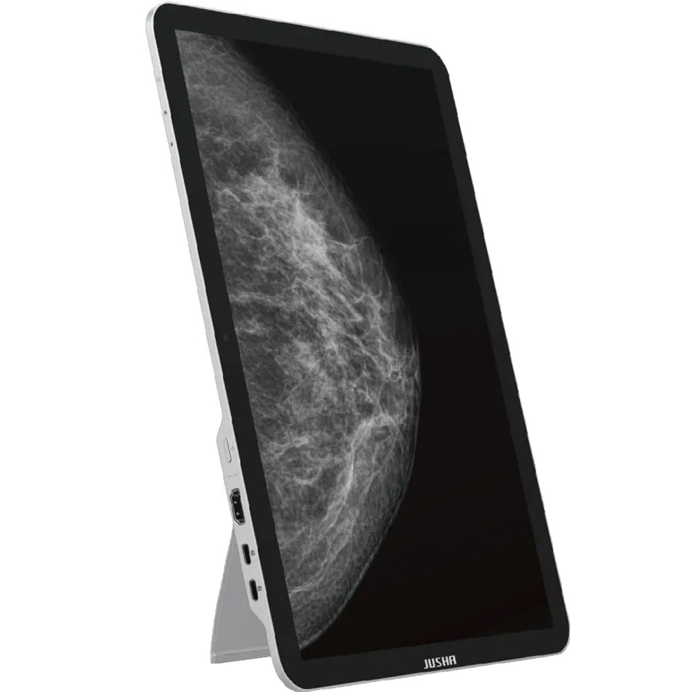 Jusha CP620 13.5-inch 6MP Portable Diagnostic Medical Display