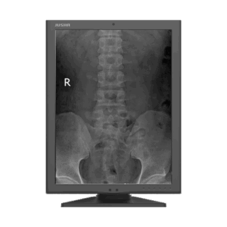 Jusha M260G 2MP Monochrome Diagnostic Display