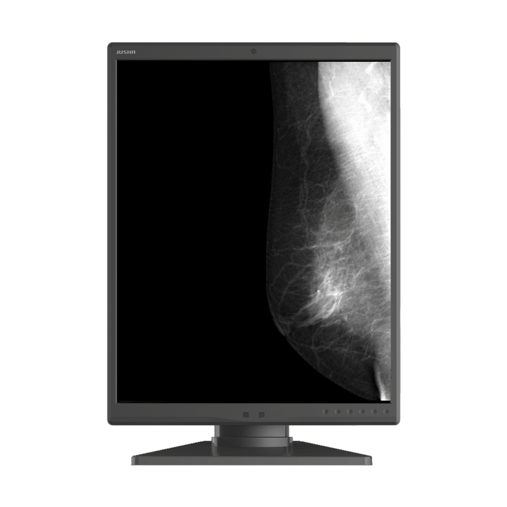 Jusha M550G 5MP Monochrome Diagnostic Display