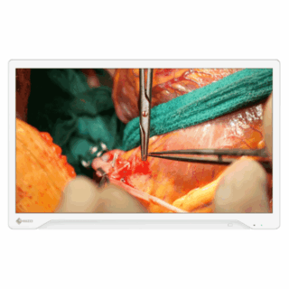 Eizo CuratOR EX3245H Surgical Display