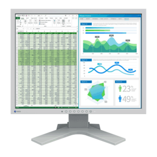 Eizo FlexScan S2134-BK Desktop Display - S2134BK