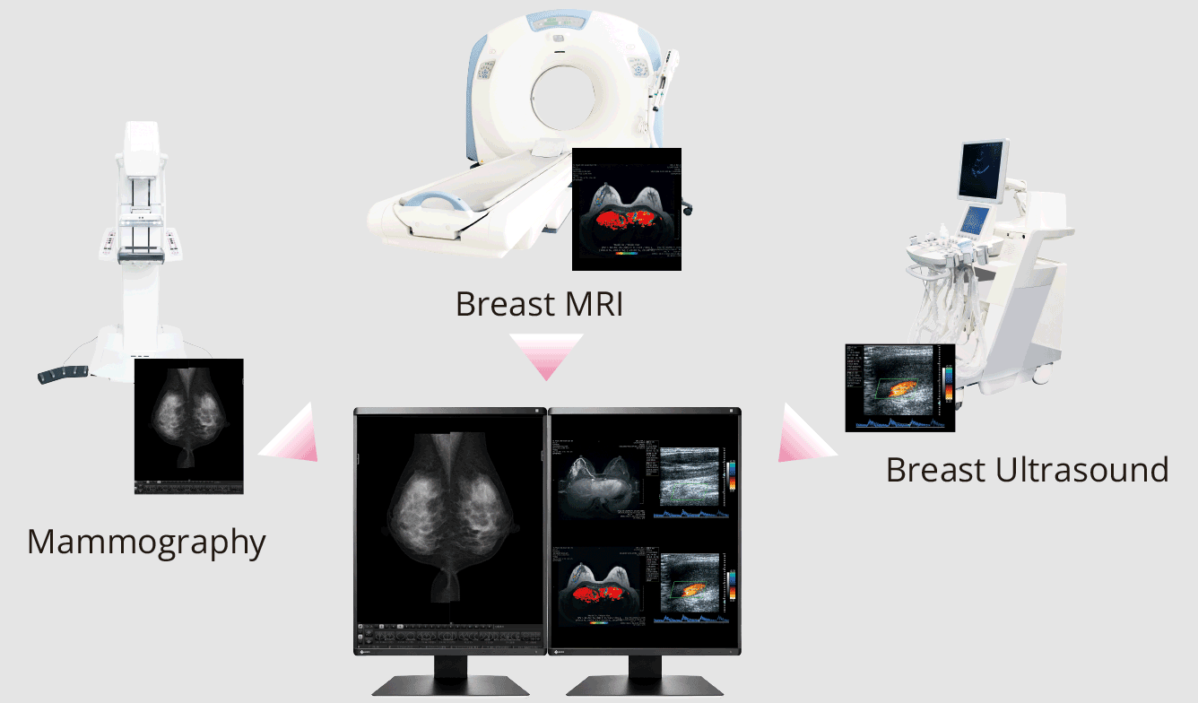 Eizo RX570 Imaging Applications